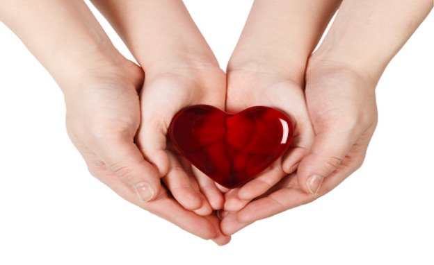 Mothers Hands Holding Baby Hands With Heart Stock Photo - Download Image  Now - 2015, Adult, Child - iStock